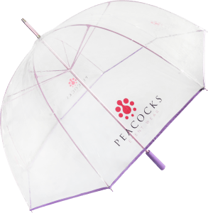Paraguas transparente PVC personalizado color